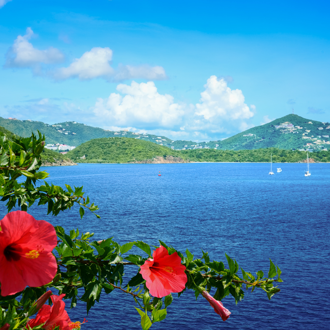 Embracing Life on St. Thomas Island 🌴