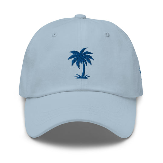 Step Up Your Hat Game with the Islander Palm Dad Hat