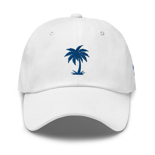 Step Up Your Hat Game with the Islander Palm Dad Hat