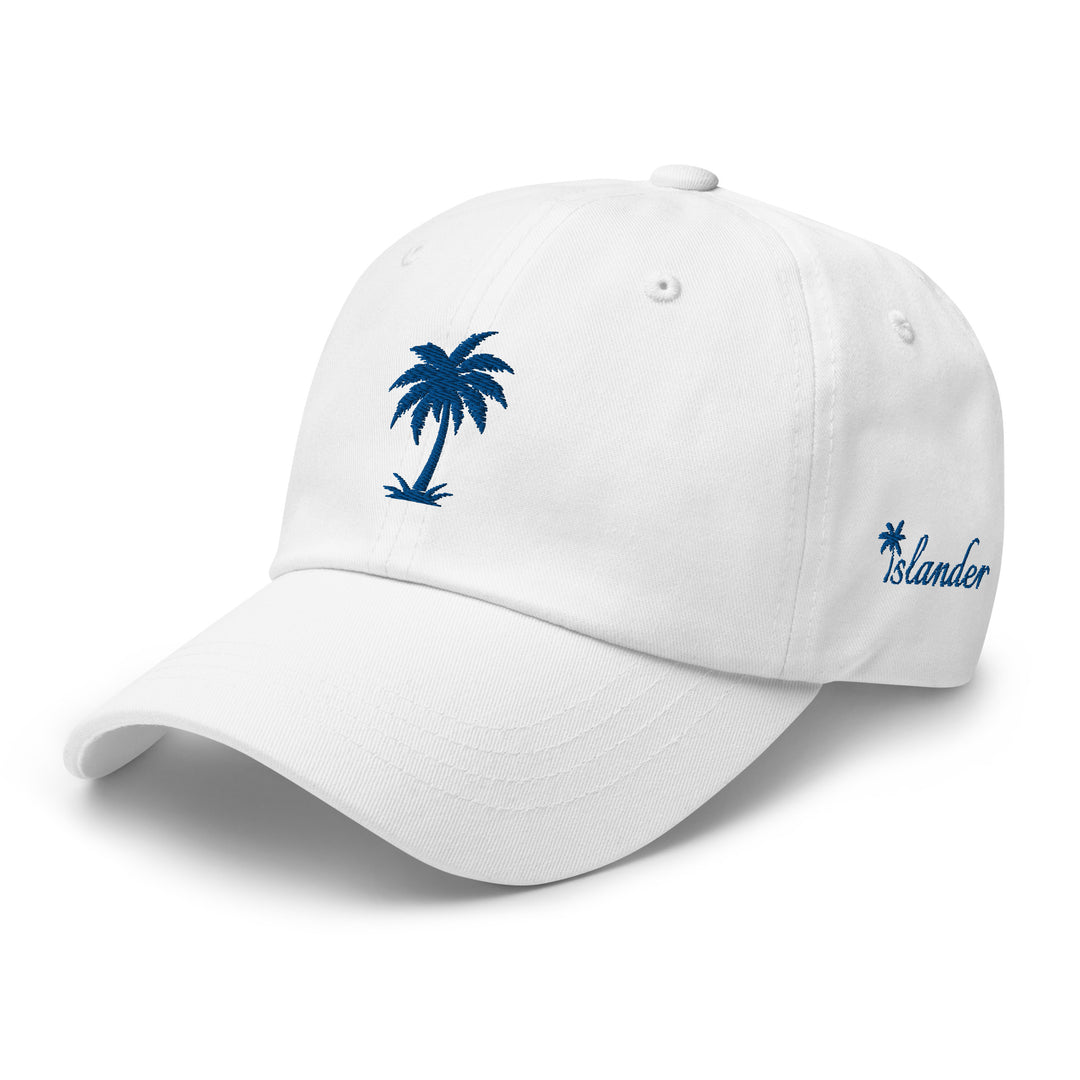 Step Up Your Hat Game with the Islander Palm Dad Hat